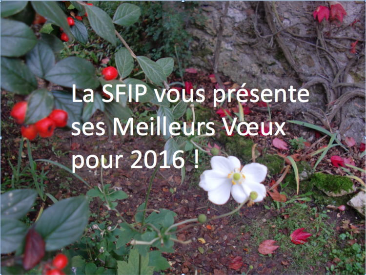 Voeux SFIP 2016